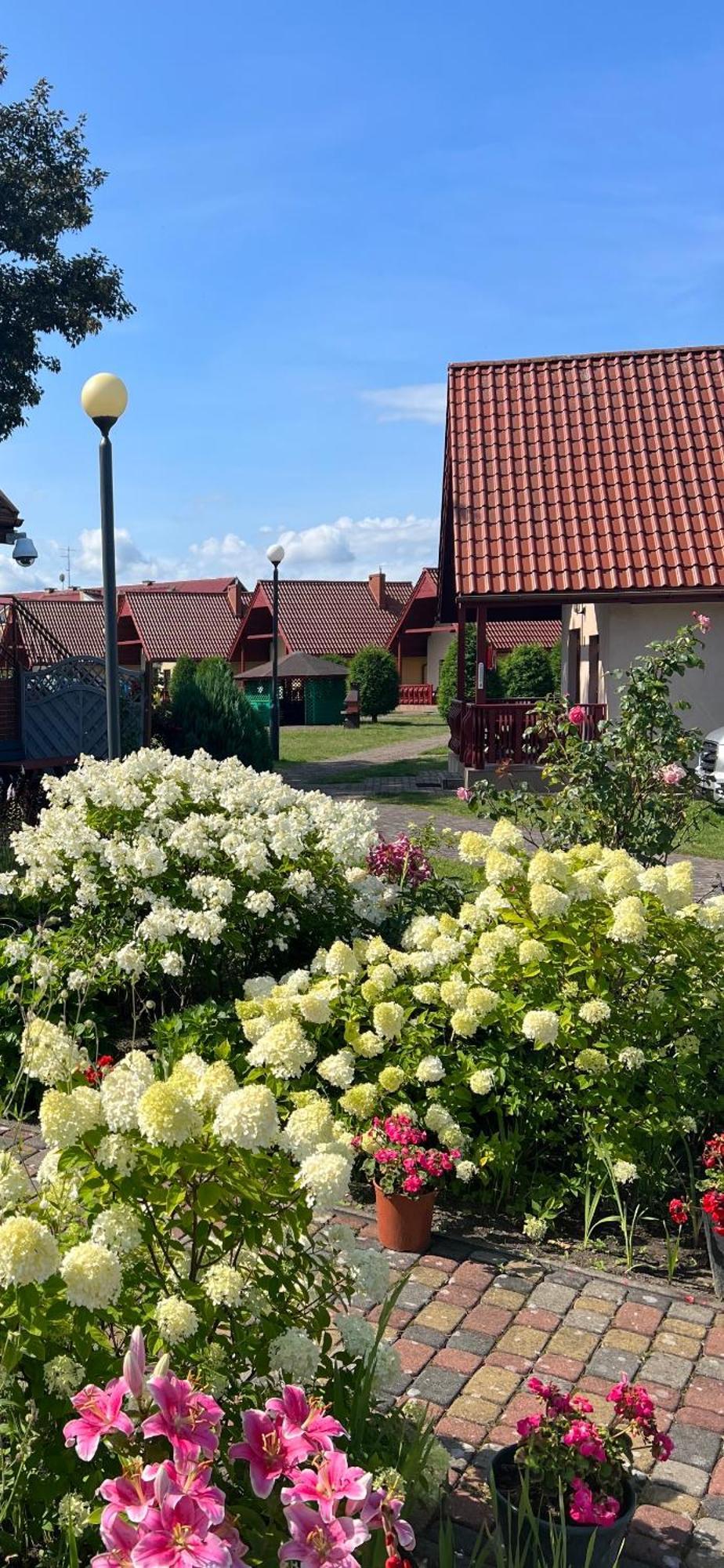 Lazur Domki Wypoczynkowe Dzwirzyno Bagian luar foto